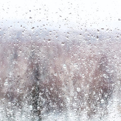 water drops from melting snow during snowfall