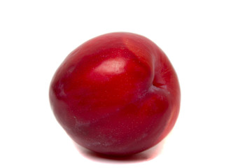 Tasty red plum fruit isolated on white background.