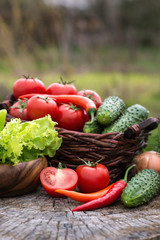 Basket and wooden plate with fresh vegetables