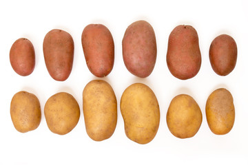 Obraz premium potatoes isolated on a white background.