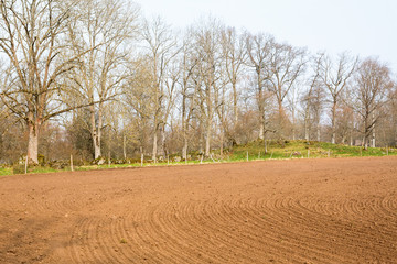 Fototapeta na wymiar Sow fields at deciduous forest in spring
