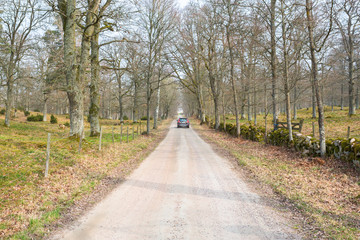 Fototapeta na wymiar Car on gravel road in the deciduous forest in spring
