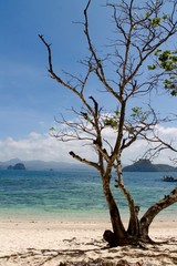 El Nido - Palawan Island - Filippine