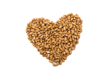 Heart of wheat grains isolated