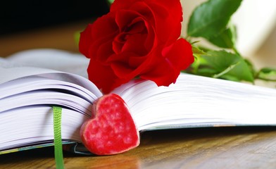 Aufgeschlagenes Buch mit roter Rose und Herz