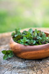 Mint  in small basket on natural wooden background, peppermint