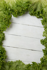 Fresh lettuce leafs creating a frame