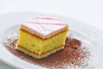 Punch cake with cocoa powder on white plate, sweet dessert, product photography for patisserie or shop