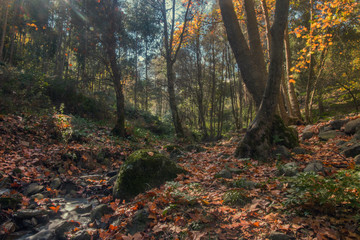 Beautiful river mountain region of Monchique, Portugal