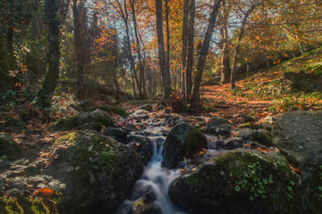 Obraz premium Beautiful river mountain region of Monchique, Portugal