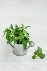 Mint in small basket on natural wooden background, peppermint