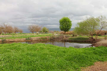 Early Spring in the Park.Clouds Before the Rain Began