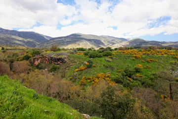 Wild Landscape With Golan Heights,Israel