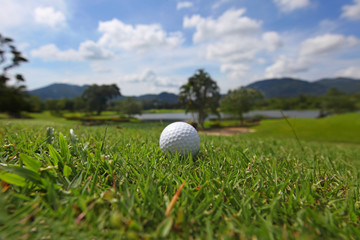 Golf ball on course