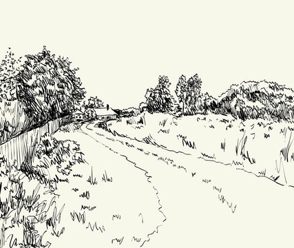 vector illustration  summer landscape with country road
