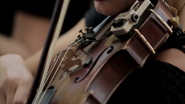 Violin