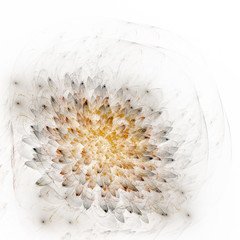 Abstrakt fraktale Blüte © D.Steindorfer 