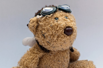 Teddy, teddybär, schutz