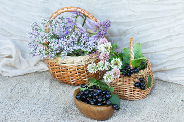 Fototapeta na wymiar ягоды черной смородины и корзины с полевыми цветами на сером фоне