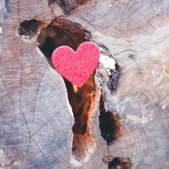 Glitter Heart in Wood Crevice