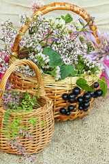 Fototapeta na wymiar две плетеные корзины с полевыми цветами и гроздь ягод черной смородины