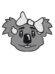 girl sweet cute little koala bear face head girl woman female loop