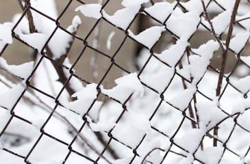 Snow on fence in winter