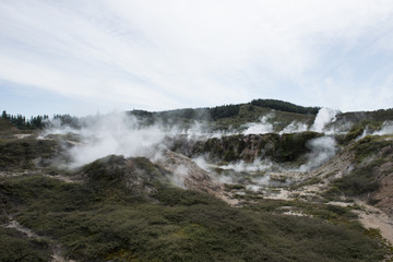 Géiseres en el Cráter of the Moon, Isla Norte de  Nueva Zelanda