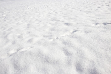 White background of snow on the nature