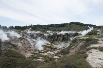 Géiseres en el Cráter of the Moon, Isla Norte de  Nueva Zelanda