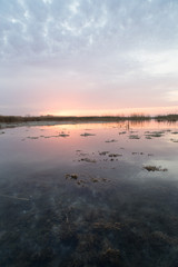 beautiful sunrise of the sun on the lake