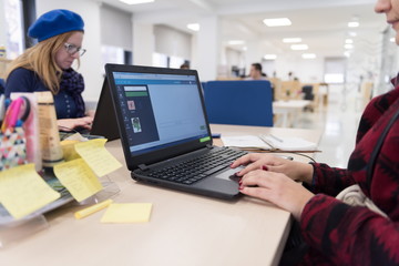 startup business, woman  working on laptop