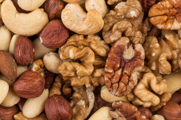 lot of different types of nuts