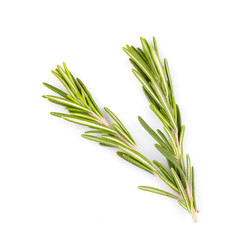 Fototapeta premium rosemary isolated on white background