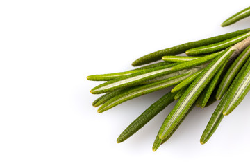 rosemary isolated on white background