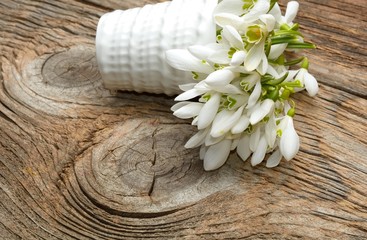 Naklejka premium snowdrops bunch