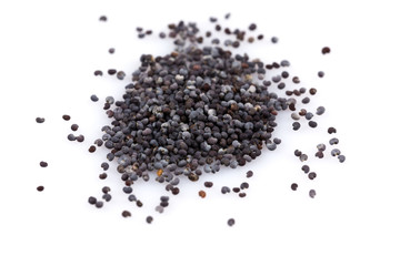 Poppy seeds isolated on white