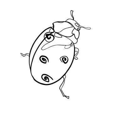 Hand drawn insect vector scribble icon illustration .
