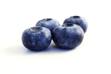 blueberries on white background