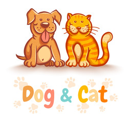  cat and dog