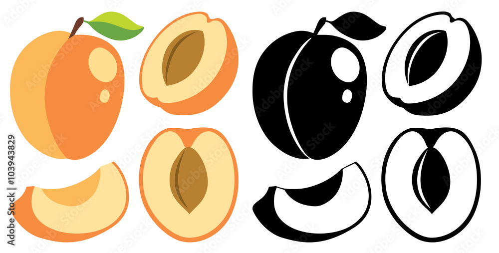 Poster vector color and monochrome apricots