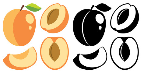 Vector color and monochrome apricots
