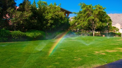 watering  sprinkler  lawn