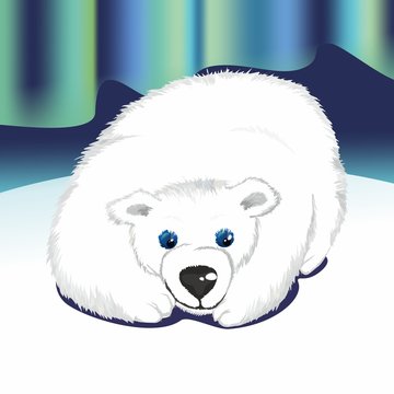 белый медведь (polar bear)