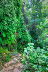 Fototapeta premium AZ-Tonto Natural Bridge State Park-near Payson-Arizona. It was quite a steep, downhill trek to reach this beautiful natural bridge