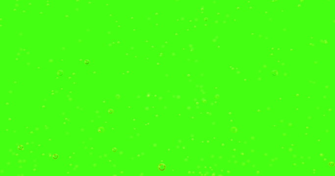 golden bubbles movement inside a glass of champagne on green screen chroma key background, seamless loop, relax and party concept