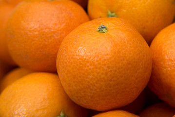 Mandarin orange background