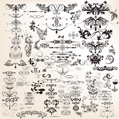 Set or collection of vector calligraphic elements and page decor