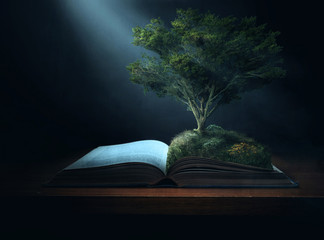 Bible Tree