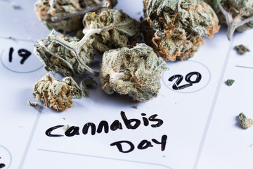 Cannabis day concept